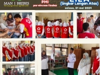 UKUR STATUS GIZI REMAJA PUTRI DI KABUPATEN BREBES MELALUI TEKNIK LAUNCHING LILA DAN PEMBERIAN TABLET TAMBAH DARAH SECARA SERENTAK